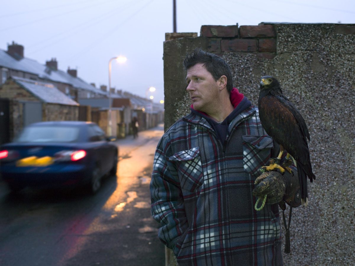 Man with Harris Hawk, Ashington, by Julian Germain, 2015. © Ashington District Star / Julian Germain.